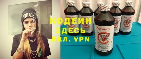 прущие крисы Медвежьегорск