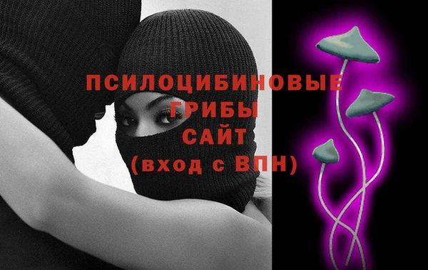 прущий лед Богданович