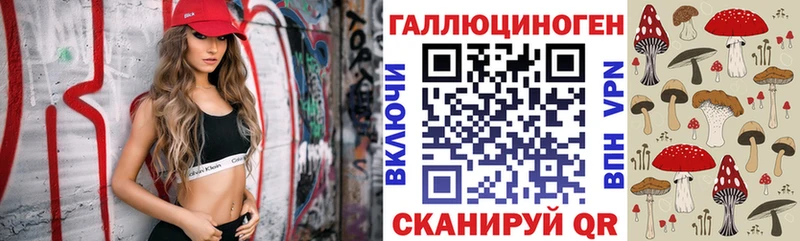 Псилоцибиновые грибы Cubensis  Черногорск 