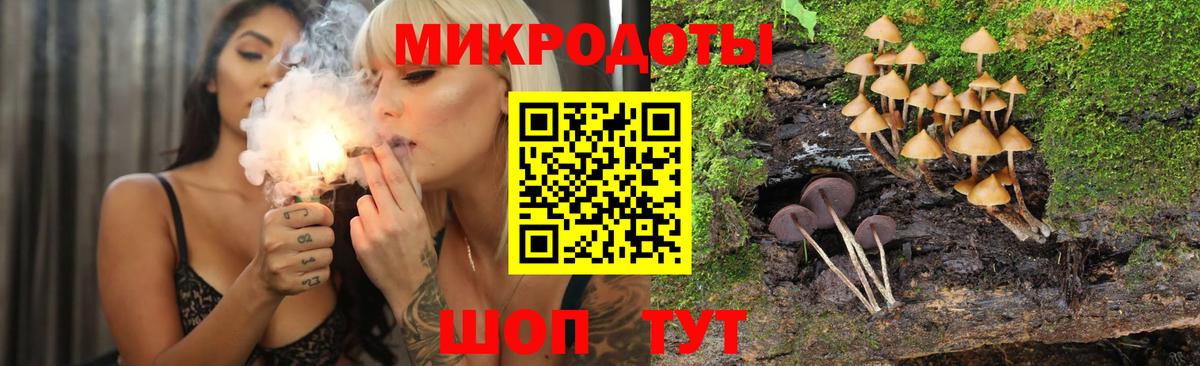 Псилоцибиновые грибы Magic Shrooms Черногорск