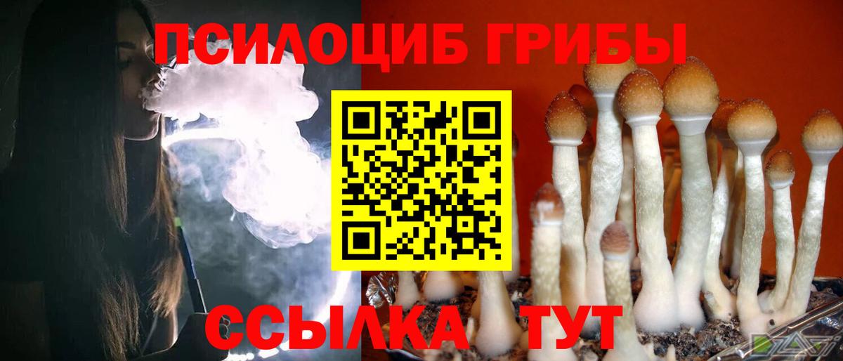 Галлюциногенные грибы Magic Shrooms Черногорск