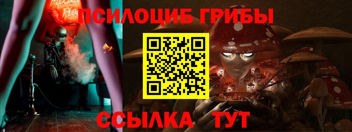 Черногорск  Псилоцибиновые грибы Cubensis  Галлюциногенные грибы GOLDEN TEACHER  Вход с VPN 