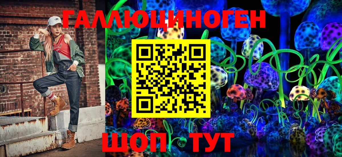 Псилоцибиновые грибы Cubensis  где найти   Черногорск 